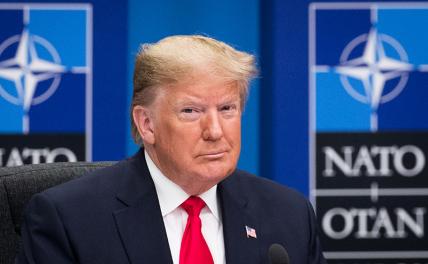 Трамп придет — шухер в НАТО наведет