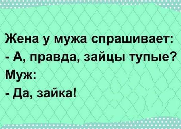 Тупые правые. Тупой муж. Тупой заяц. Правда я Зайка?. Зайцы правда тупые.