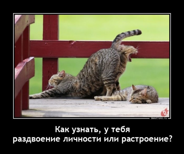 Демотиваторы – приколы: «Я же говорил…» Демотиваторы – приколы: «Я же говорил…»