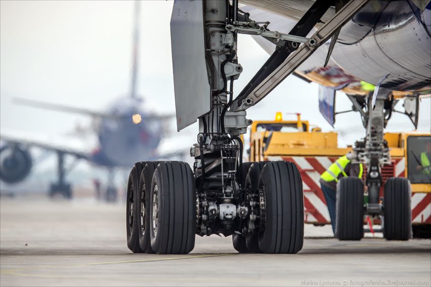 Обслуживание самолета на перроне Boeing 777, авиация, петропавловск-камчатский, елизово