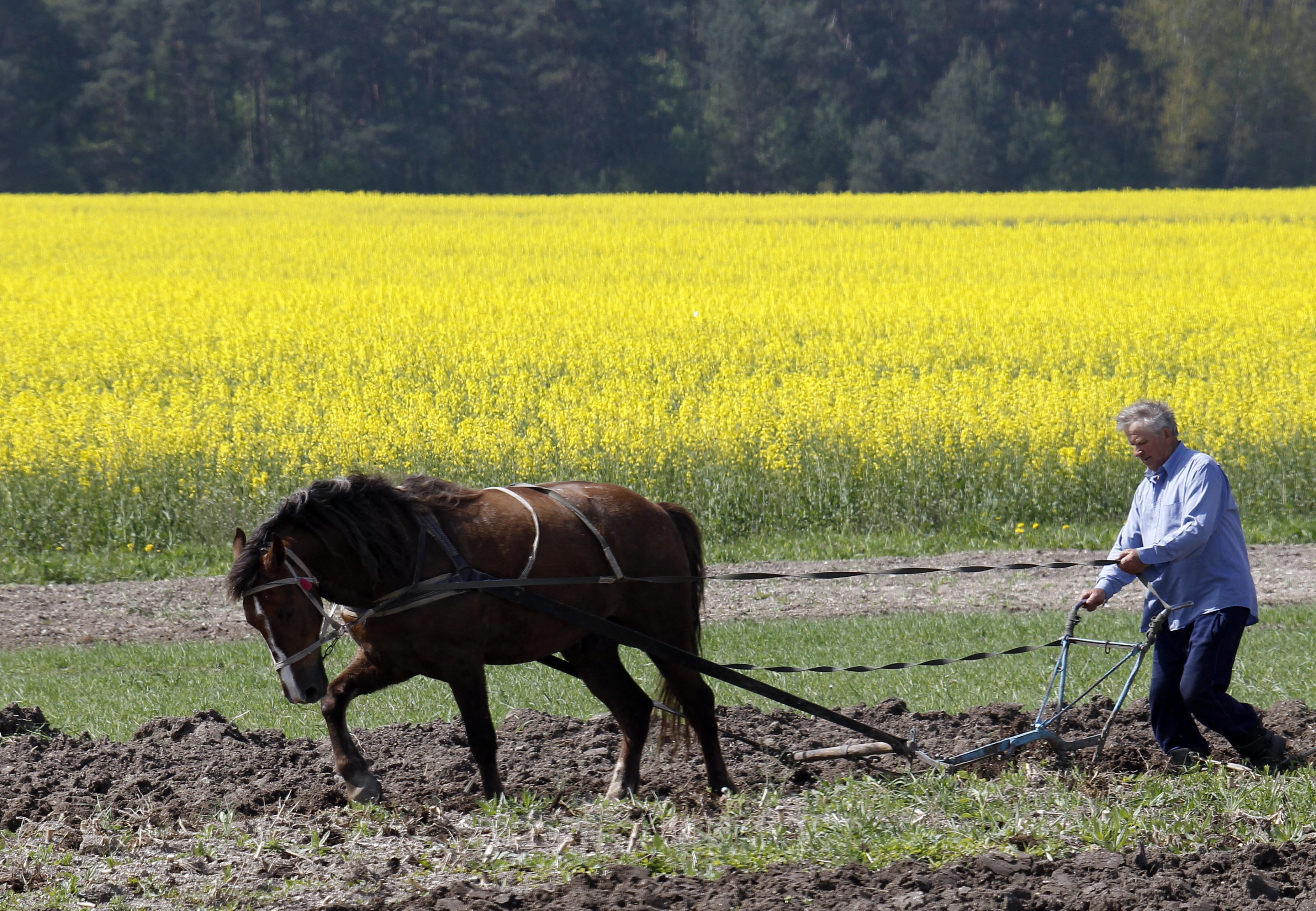 Состояние сельского хозяйства украины украина