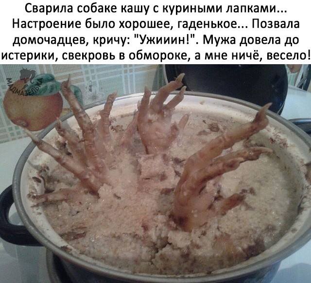 Я сделаю тебе куриного супчика