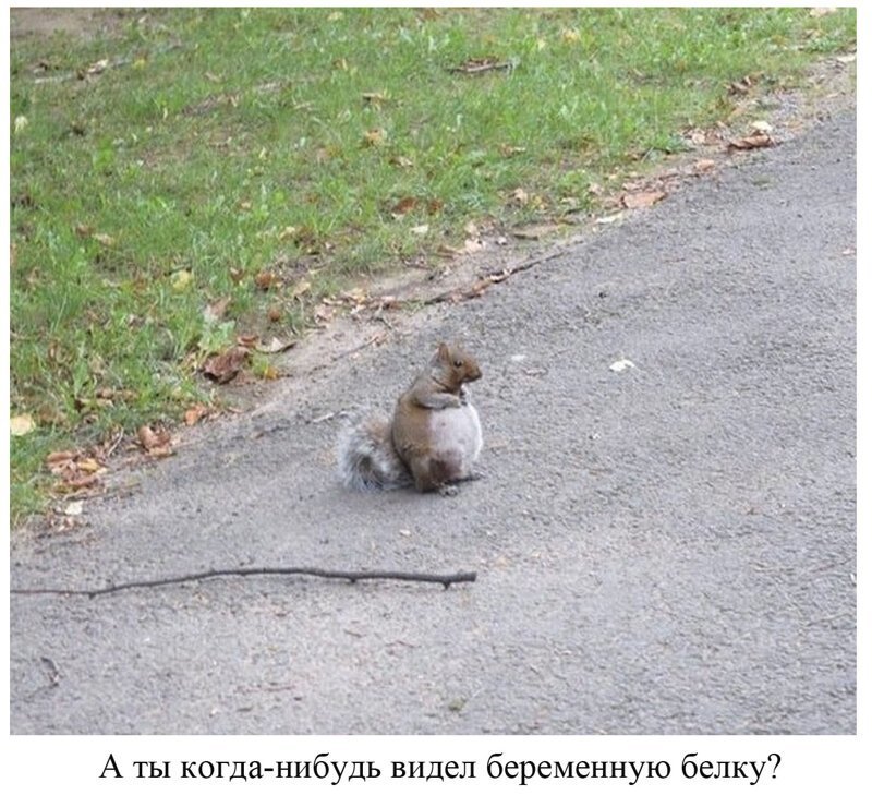 Вы видели всё в жизни? 