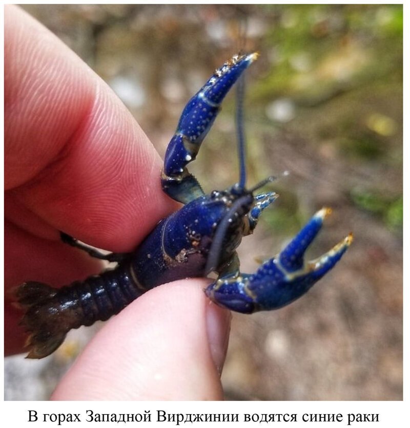 Вы видели всё в жизни? 