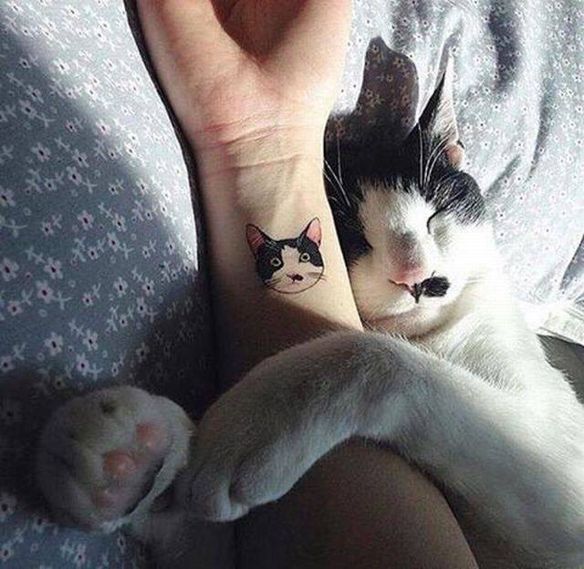 Пятничные фотоприколы: «Ребята, подождите!» Пятничные фотоприколы: «Ребята, подождите!»