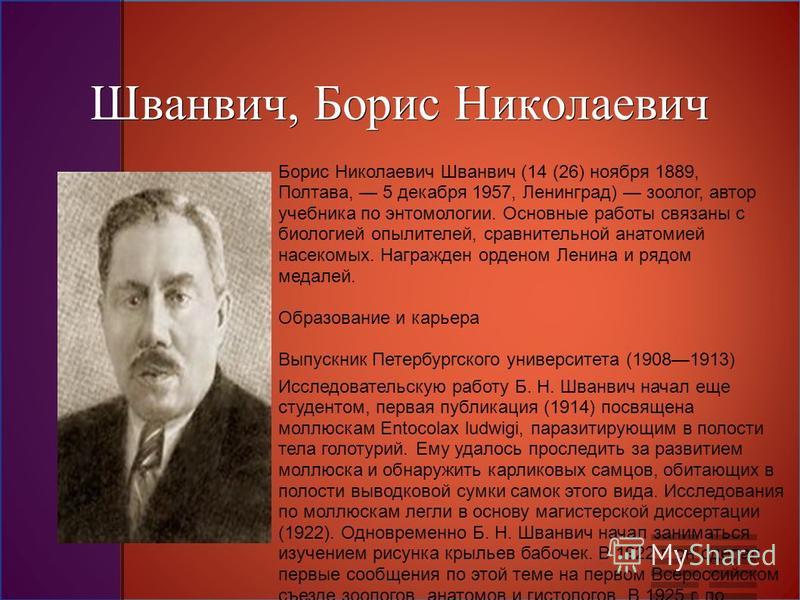 Шванвич Маскировка Танков Фото