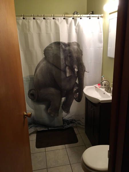 Прикольные картинки. Дневной выпуск (53 фото)