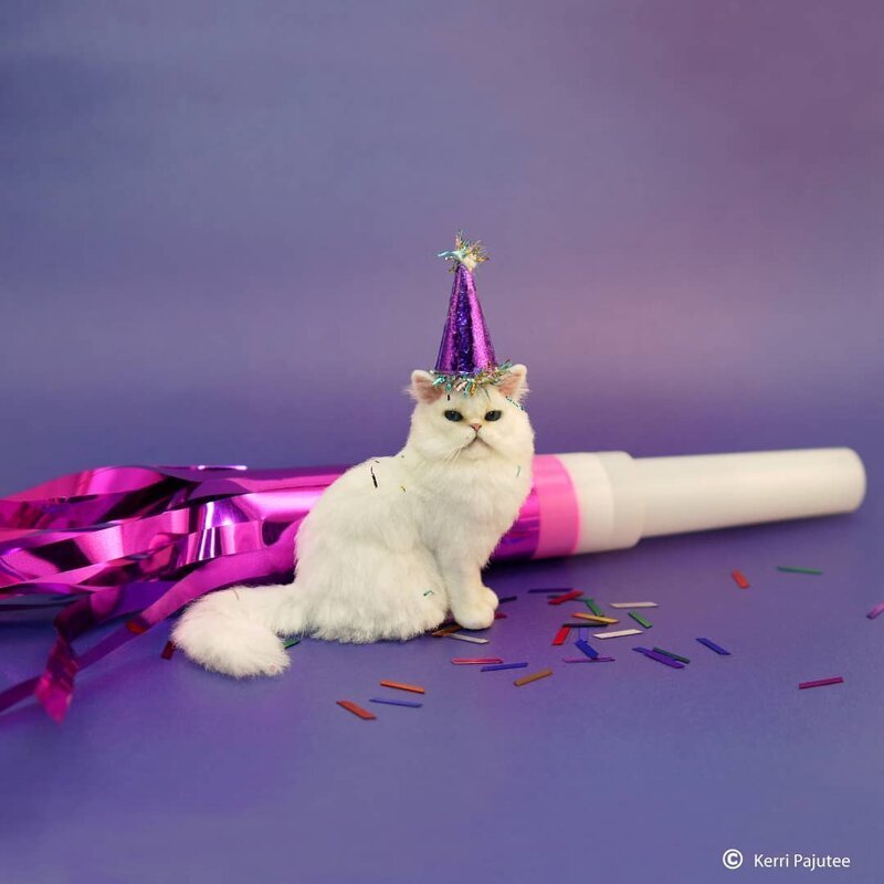 Как живые: Невероятные миниатюрные скульптуры Керри Паюти