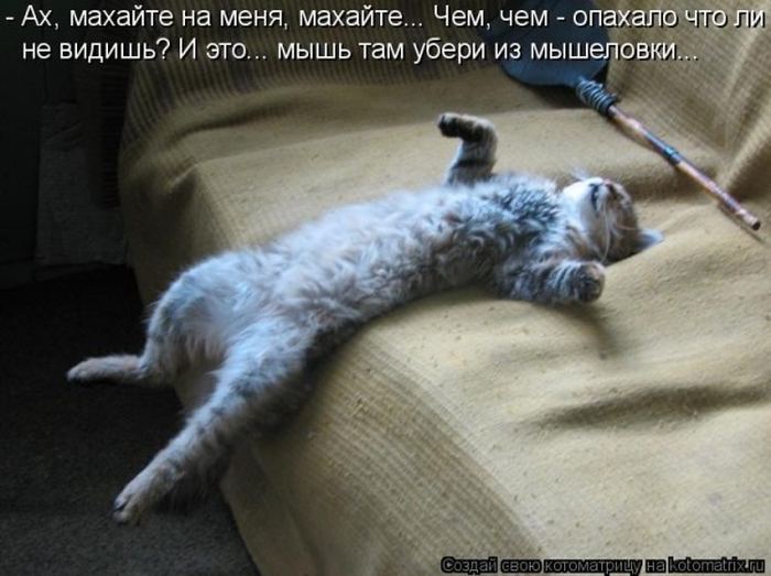 Мысли вслух :)