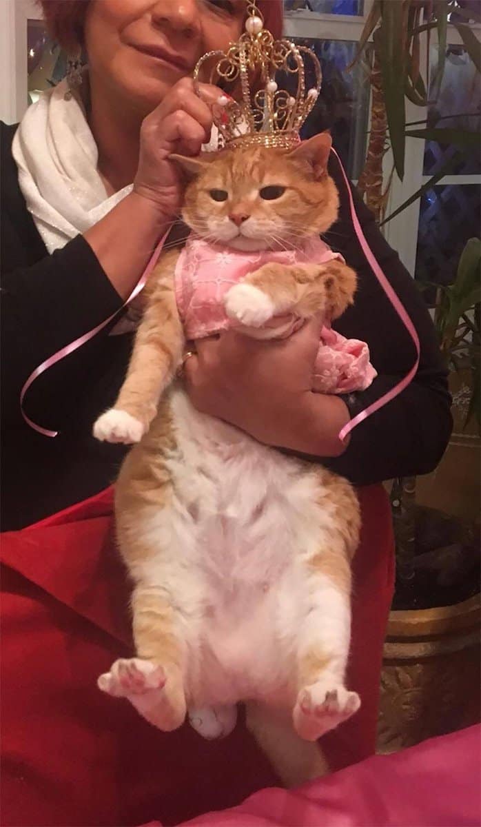 2984