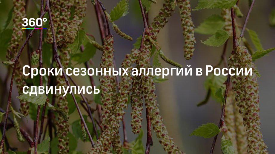 Сроки сезонных аллергий в России сдвинулись