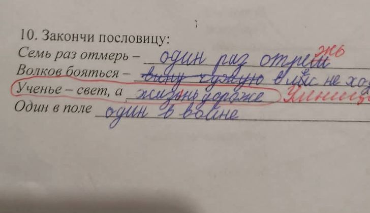 20 пометок учителей, от которых опешили мальчишки и девчонки, а также их родители