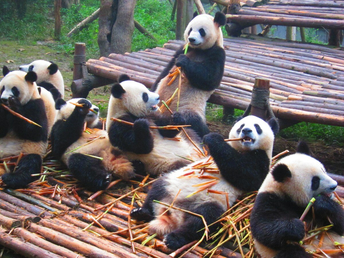 10 самых больших городов мира по площади 10 самых больших городов мира по площади