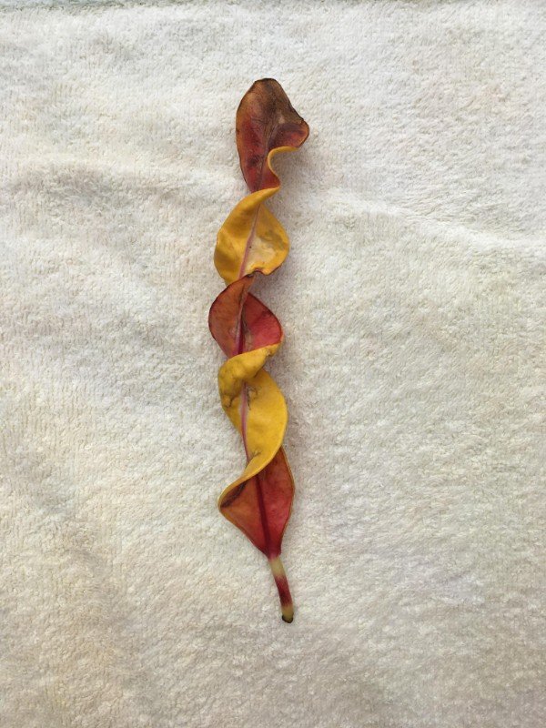 25 фото, от которых у визуалов случится эстетический оргазм 25 фото, от которых у визуалов случится эстетический оргазм