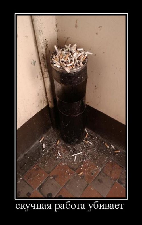 Демотиваторы (30 фото)