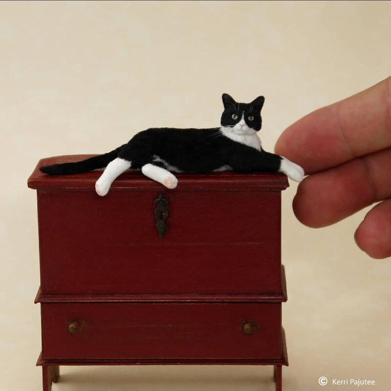 Как живые: Невероятные миниатюрные скульптуры Керри Паюти