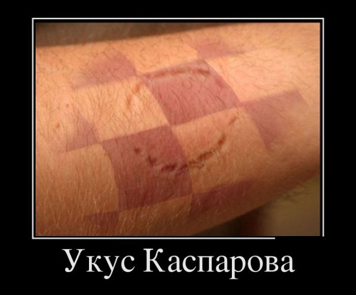 Порция демотиваторов на любой вкус 