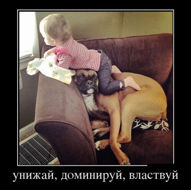 Унижающие картинки приколы, психом