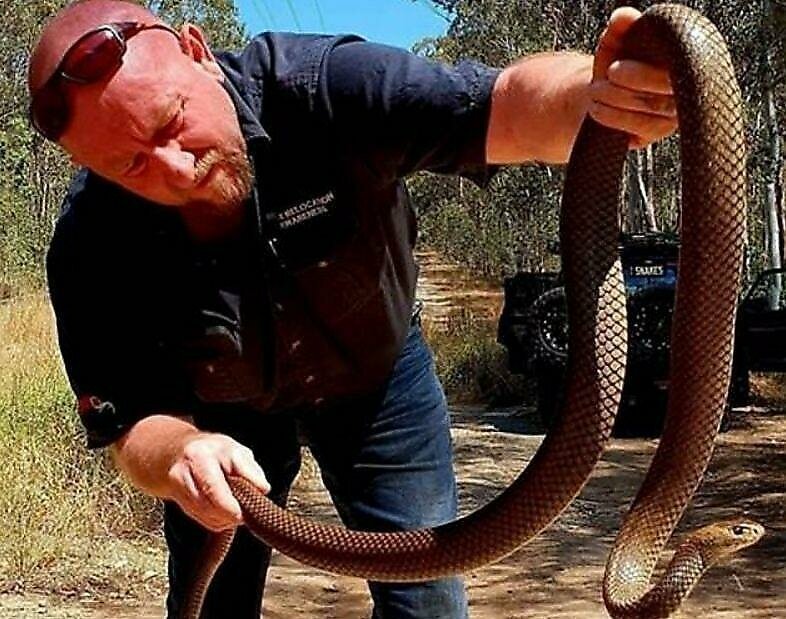 Как стать змеем
