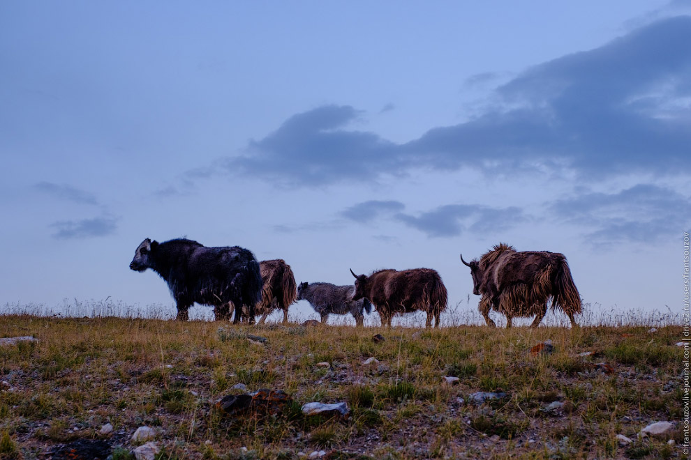 Памирский тракт: Алайская долина Путешествия