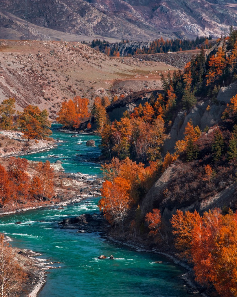 Алтайский край река Катунь осенью