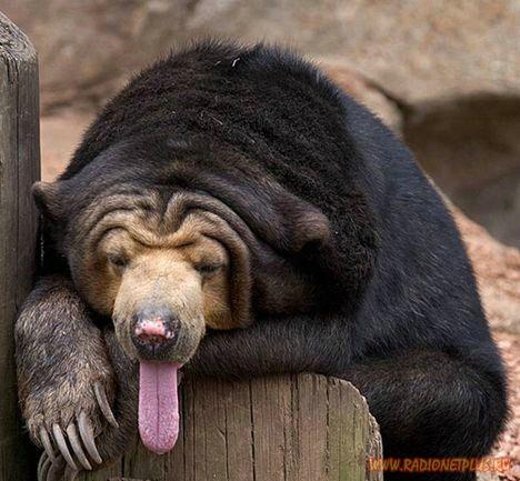 Забавные фотки(21фото)