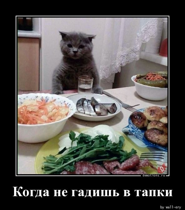 Демотиваторы дня: «Совсем зажрались…» Демотиваторы дня: «Совсем зажрались…»