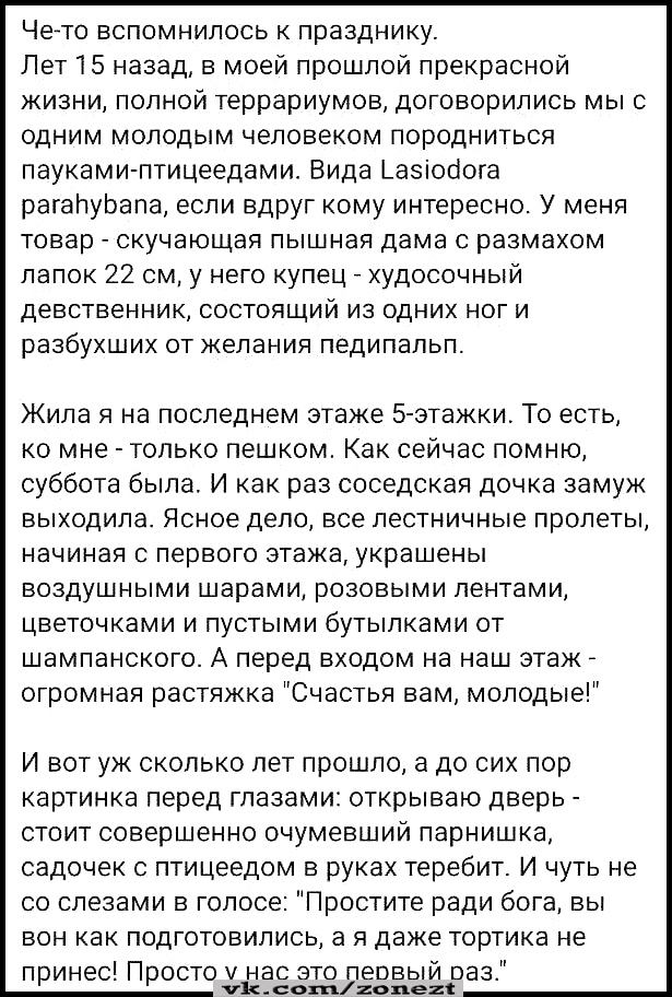 Запомни: весы врут, люди завидуют, а зеркало вообще кривое! совесть, когда, очень, адрес, совести, волосы, сказала, деньги, Доктор, этого, замечательно, денег, всего, пришлось, интересная, дороже, угодно, сколь, продавая, запомни