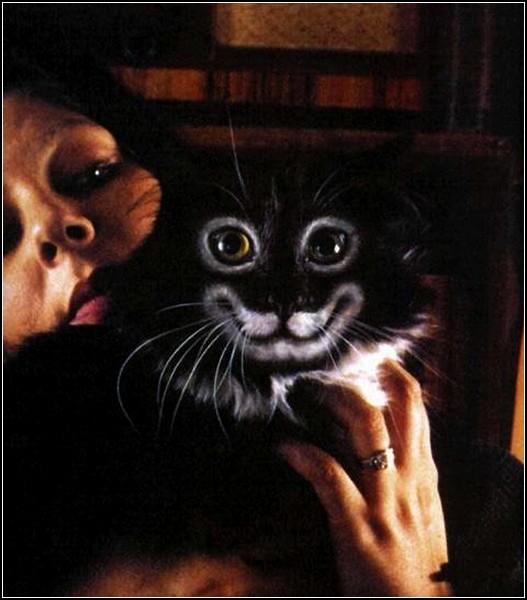 Бодиарт на кошачьем тельце