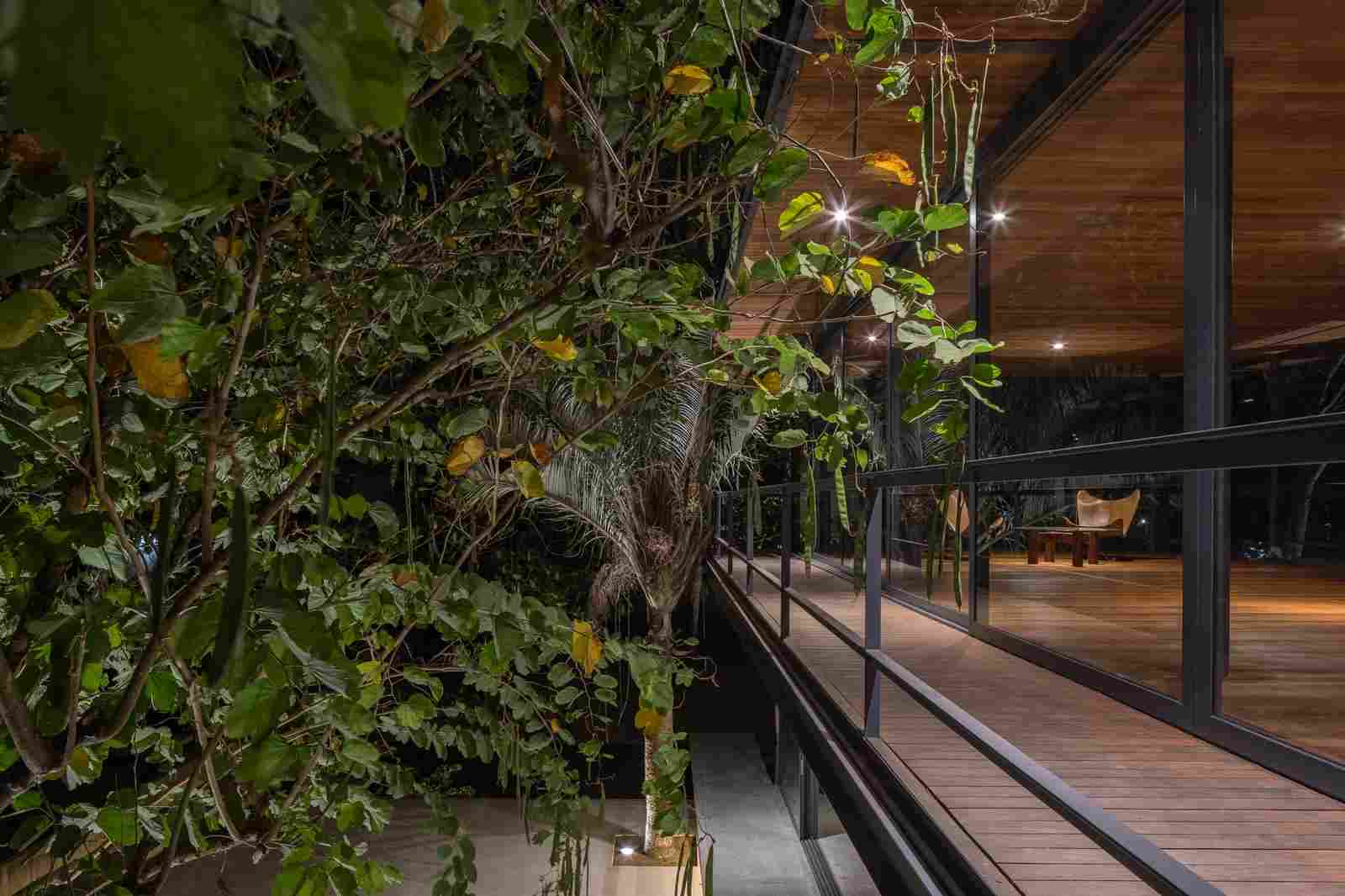 Архитектура и интерьер дома на участке для выращивания орхидей