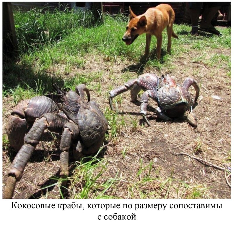 Вы видели всё в жизни? 