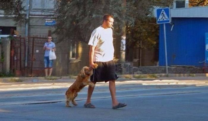 Только в России (36 фото) картинки, россия, юмор