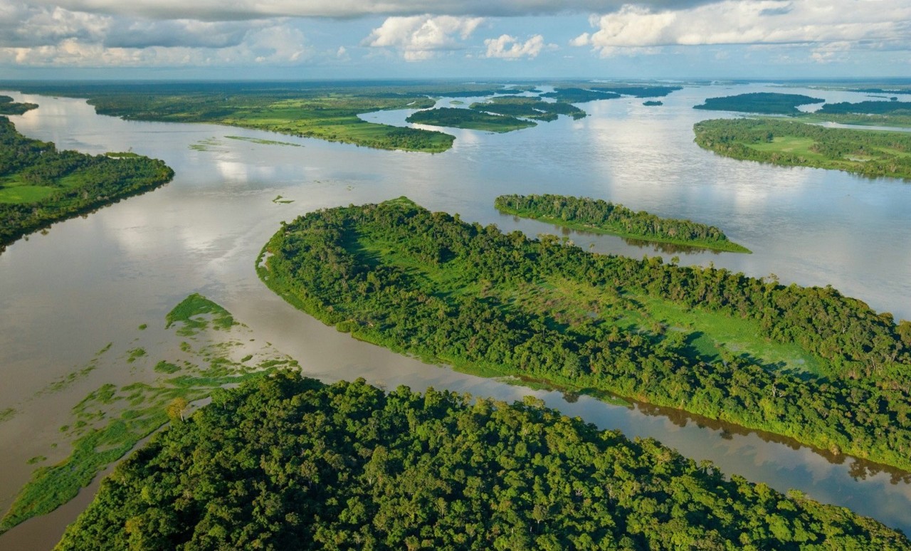 №5: Бассейн реки Конго природа, путешествия, топ-10