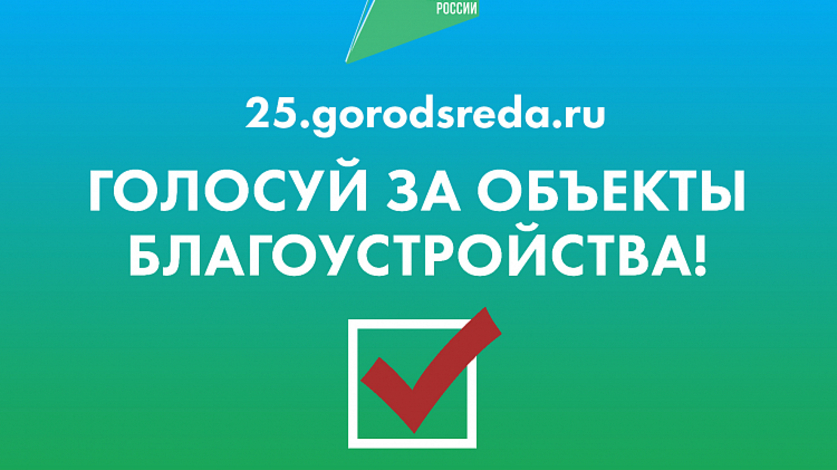 Почти 64 тысячи приморцев проголосовали за улучшение общественных пространств