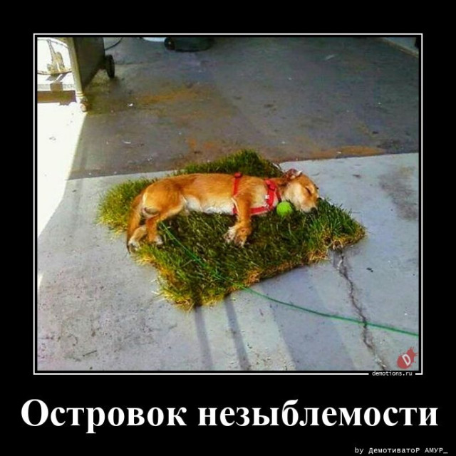 Демотиваторов пост: «Таити…» Демотиваторов пост: «Таити…»