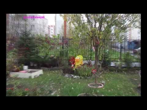 Дорога из игрушек и ковров