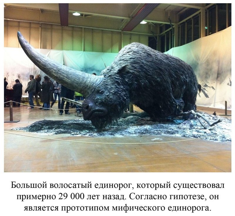 Вы видели всё в жизни? 