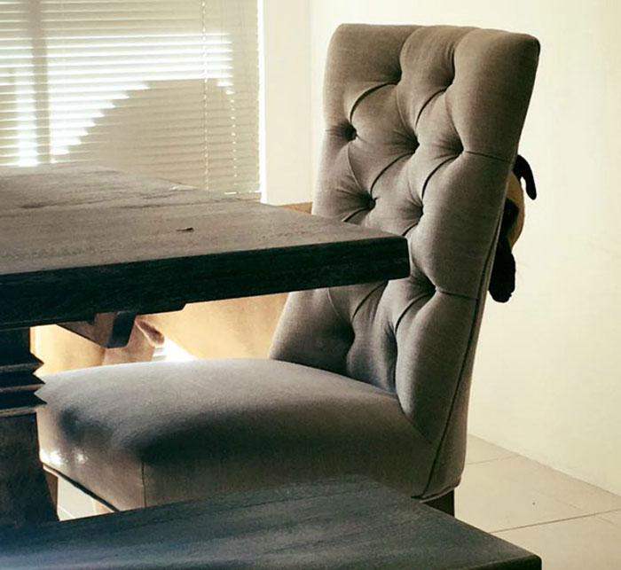 собака всегда подстерегает хозяина