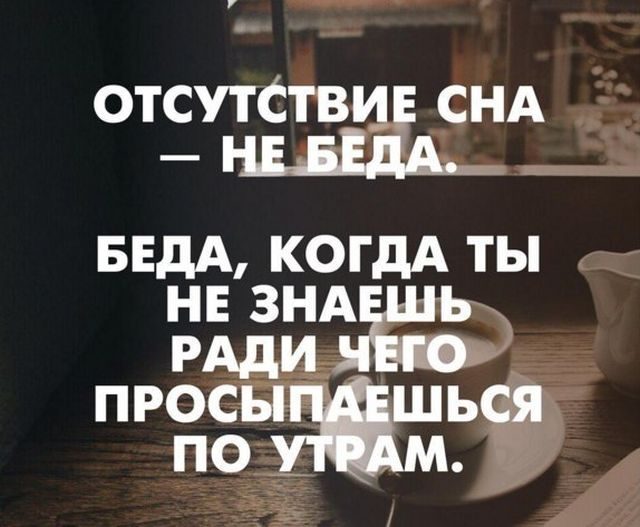 Прикольные картинки и фотки