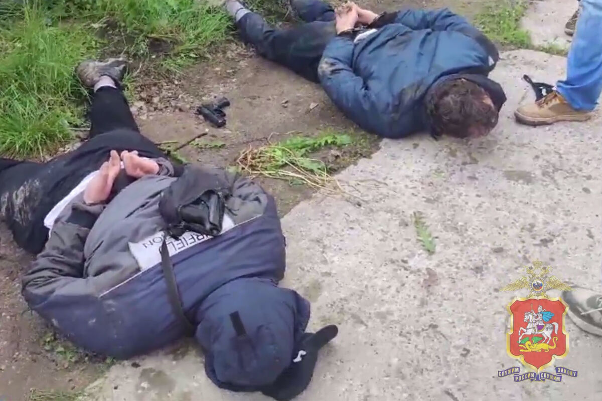 МВД: в Домодедово наркозакладчик ранил сотрудника полиции из пистолета