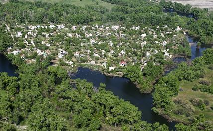 Волго- Ахтубинская пойма: 300-летние дубы — под бульдозер