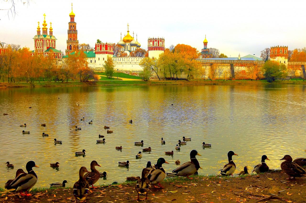 Москва Осень Фотографии