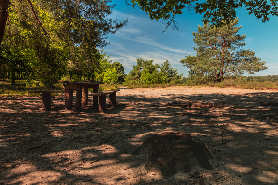  A Second Life by RR 🧚🏼  on 500px.com