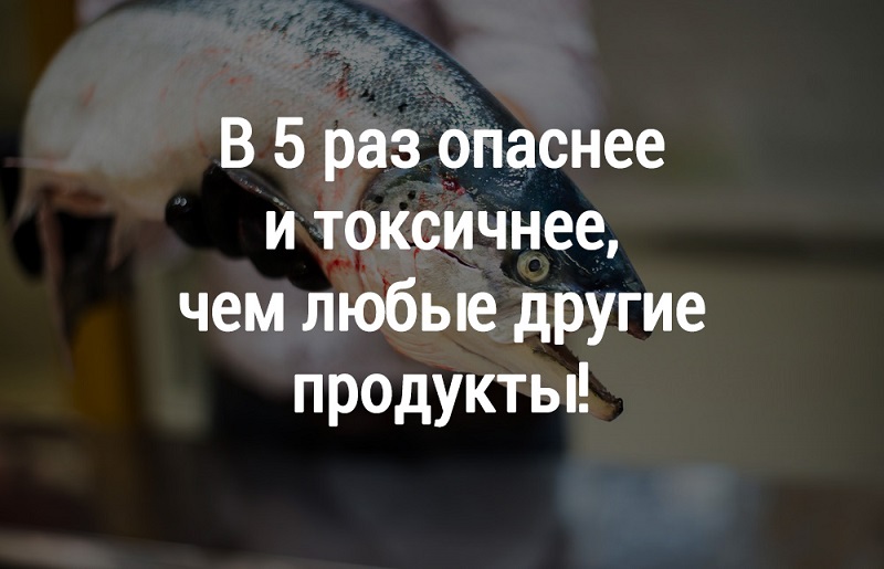 красная рыба опасна