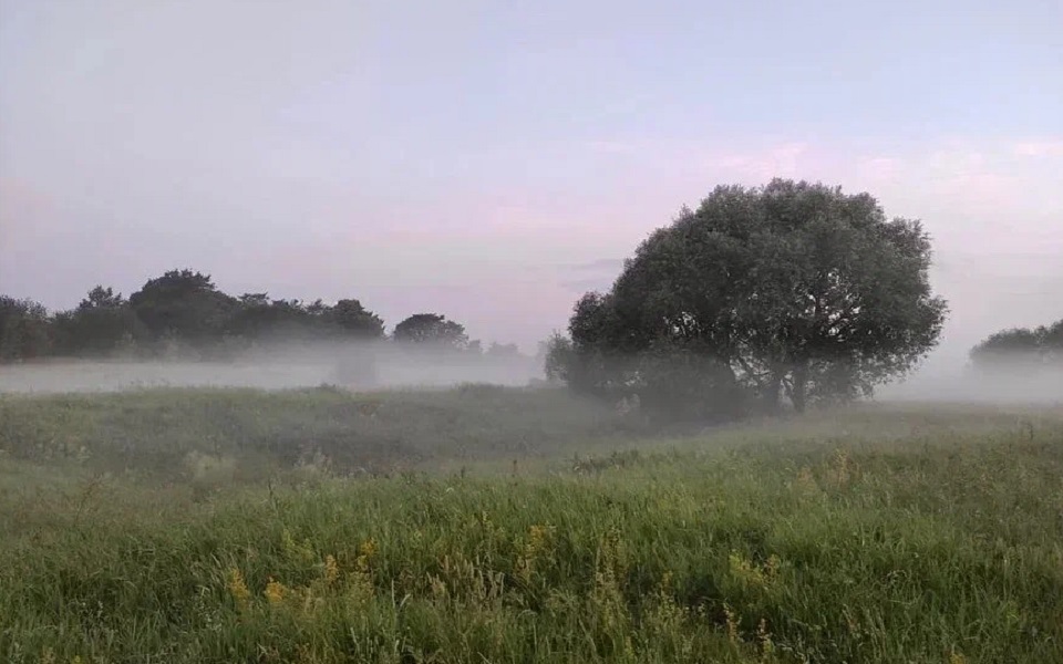 Рязанцев предупредили об утреннем тумане 30 июля
