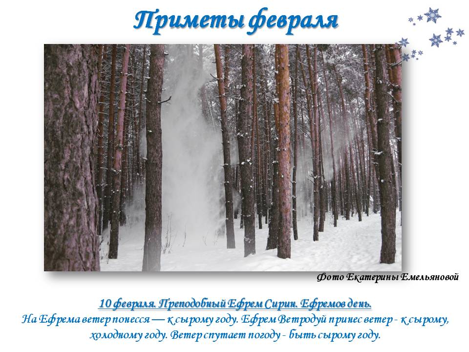 10 февраля день. Приметы февраля. Февральские приметы. Февральский приметы народные. Народный праздник Ефремов день.