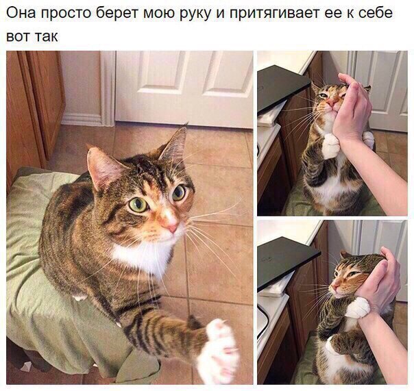 Позитивные картинки и фотографии