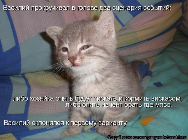 Мысли вслух :)
