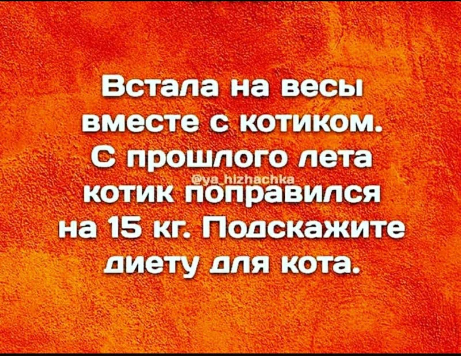 Главное, чтобы мой будущий муж был хорошим человеком... принц, нахал, дверь, мужчин, квартируВесной, меняется…Побеждают, короче, красивее, шубаУ, большей, части, женщин, Господи, желания, совпадают, другие, хотят, больших, упругих, сисек