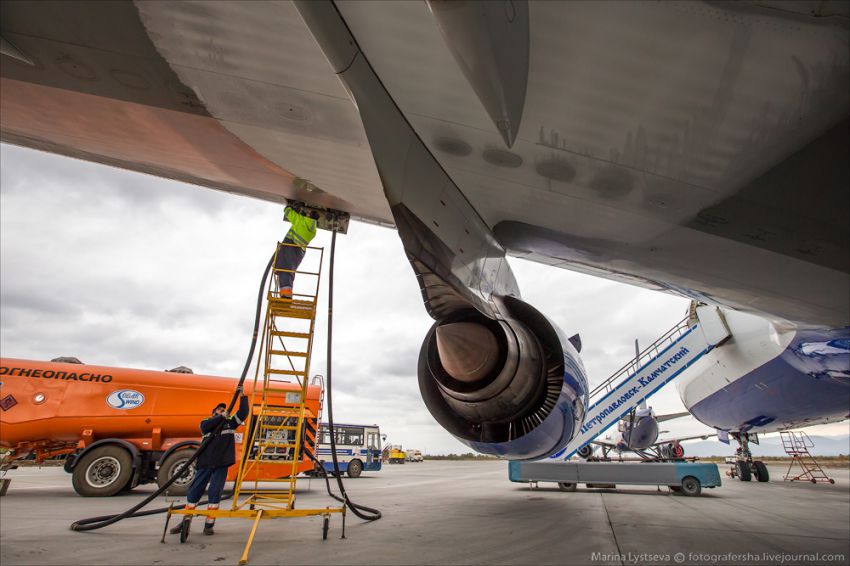 Обслуживание самолета на перроне Boeing 777, авиация, петропавловск-камчатский, елизово